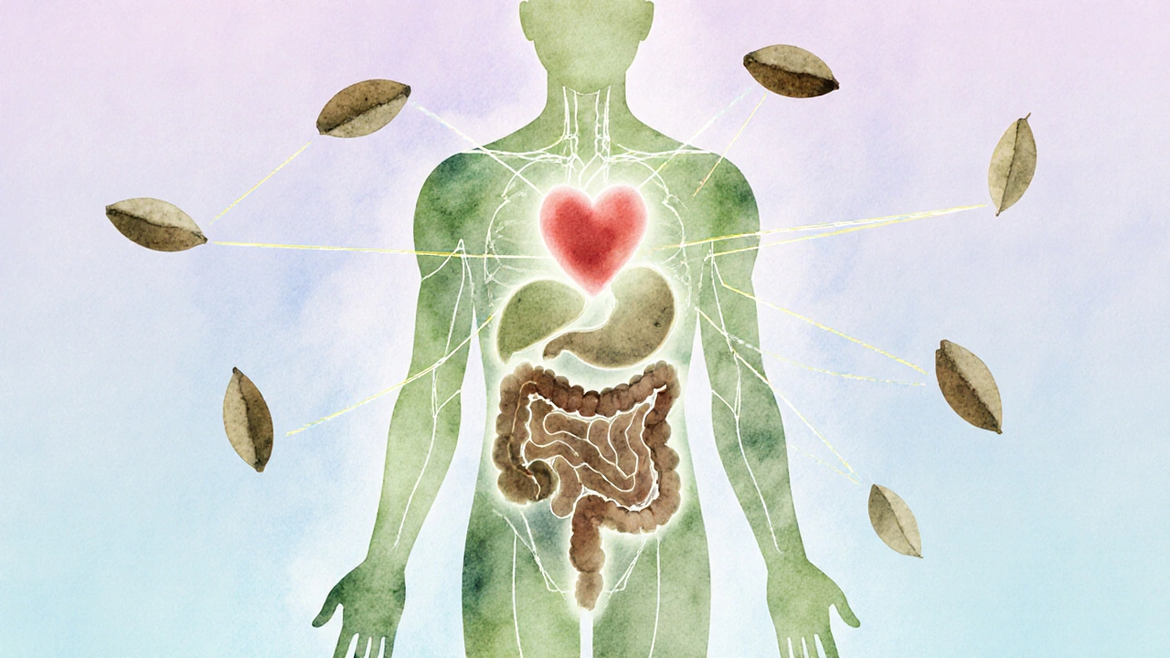 Wasserfarben-Illustration einer menschlichen Silhouette, die von Hanf-Samen zu Gesundheitssystemen verbunden ist.