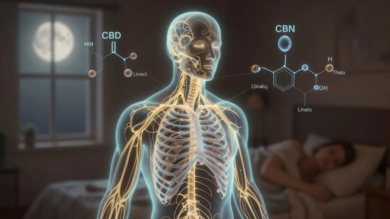 Abstrakte Darstellung des Nervensystems mit beruhigenden Cannabinoid-Molekülen und Mondlicht.