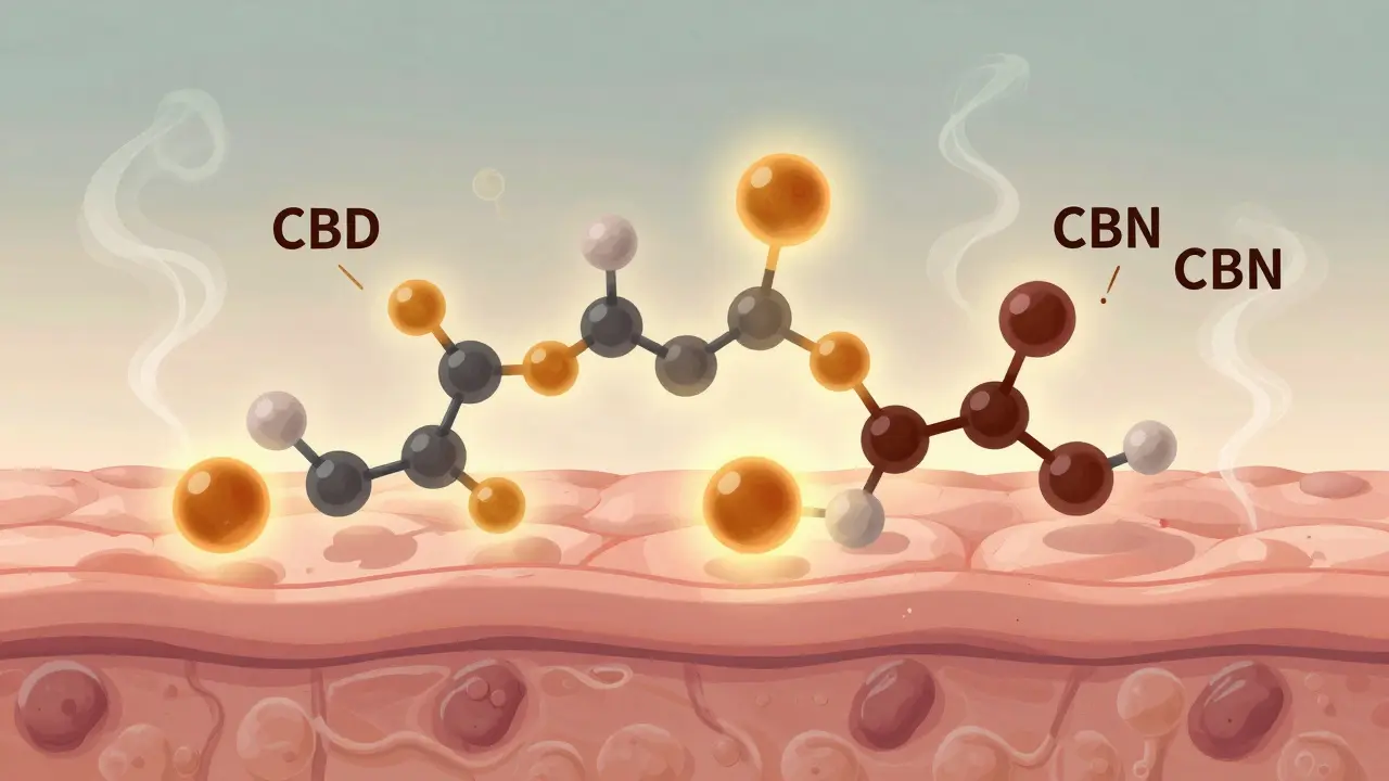 Vergrößerte Hautzelle mit CBG-Molekülen, die sich in CBD und CBN verwandeln, oxidativ verändert.