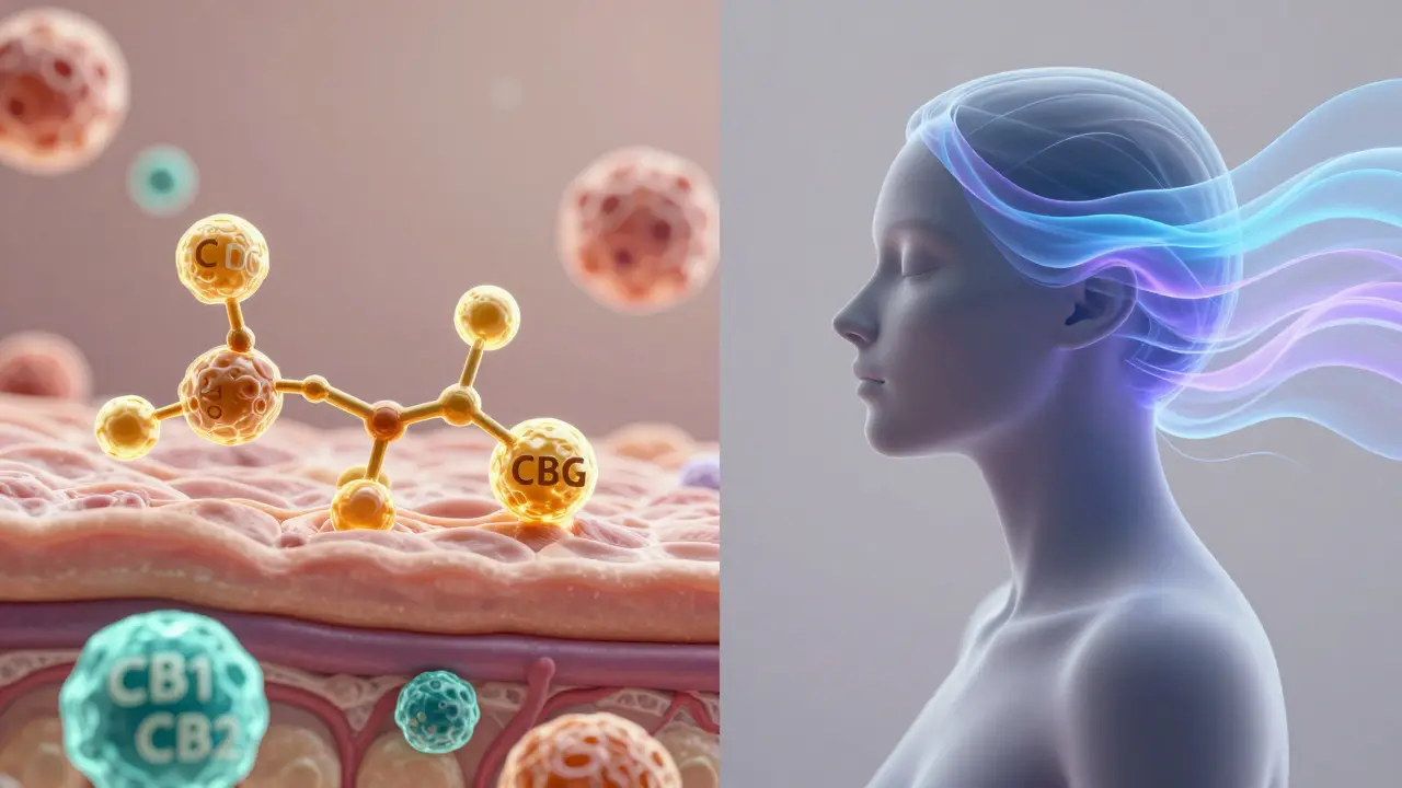 Konzeptionelle Darstellung von CBG-Molekülen, die an Hautrezeptoren binden.