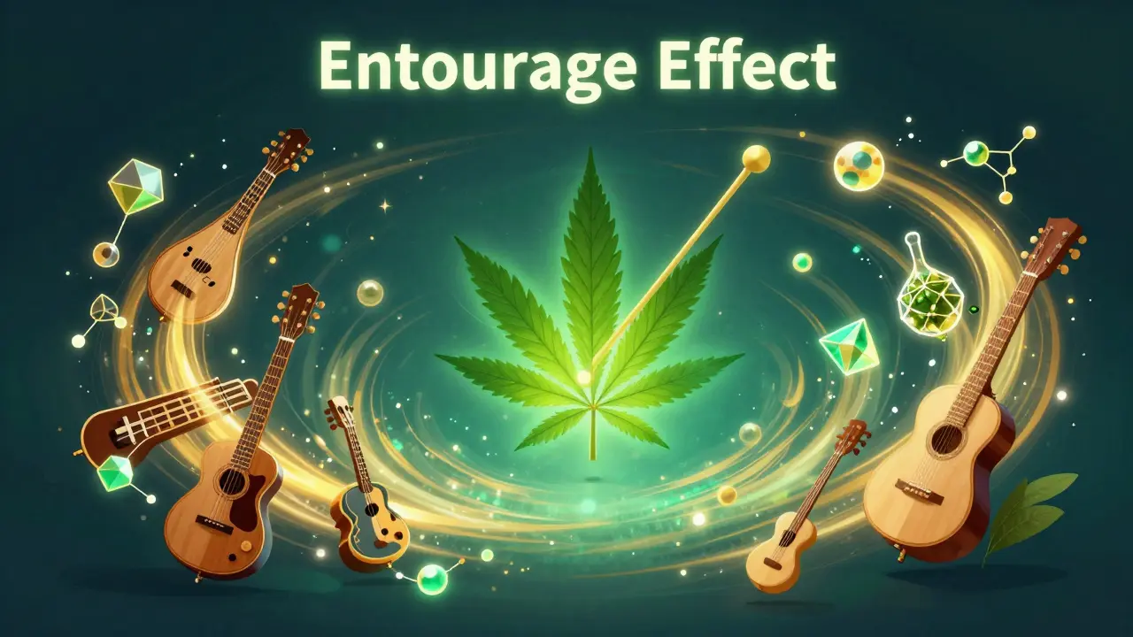 Künstlerische Darstellung des Entourage-Effekts als harmonisches Orchester aus Molekülen.