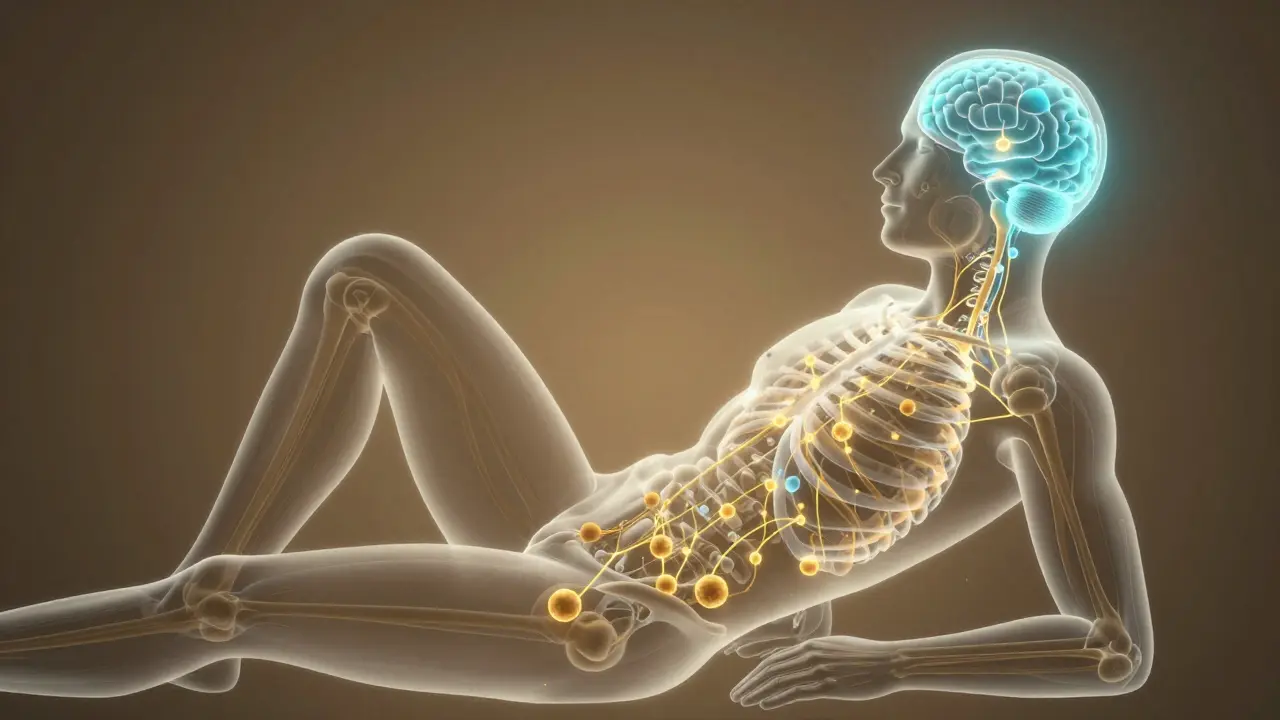 Conceptual illustration of CBD interacting with ECS