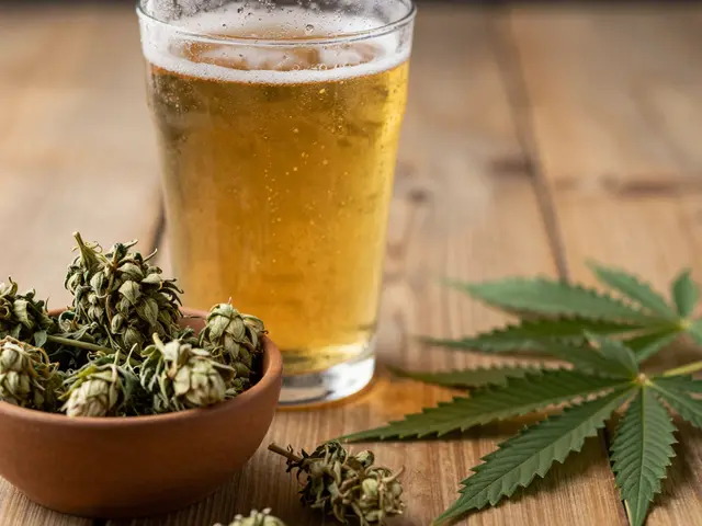 Cannabis und Alkohol: Die besten Kombinationen für Bier, Wein & Cocktails