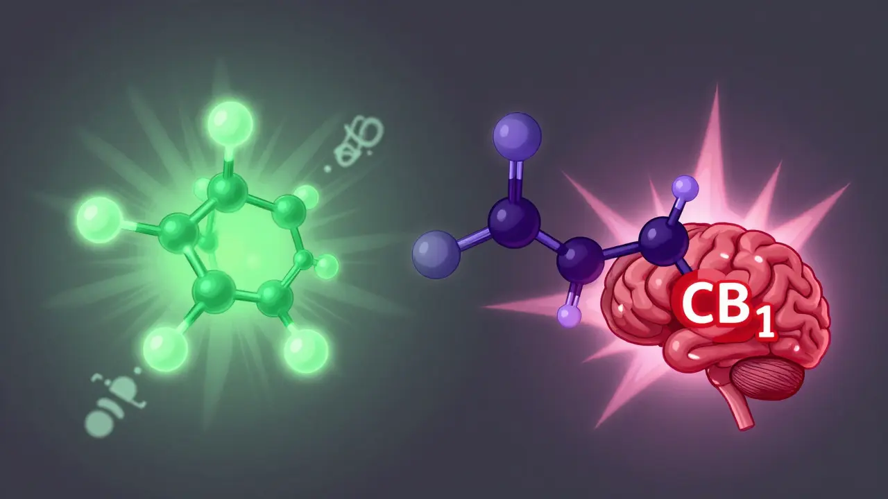 THCP vs. CBD: Was sind die Unterschiede und welche Wirkung haben sie?