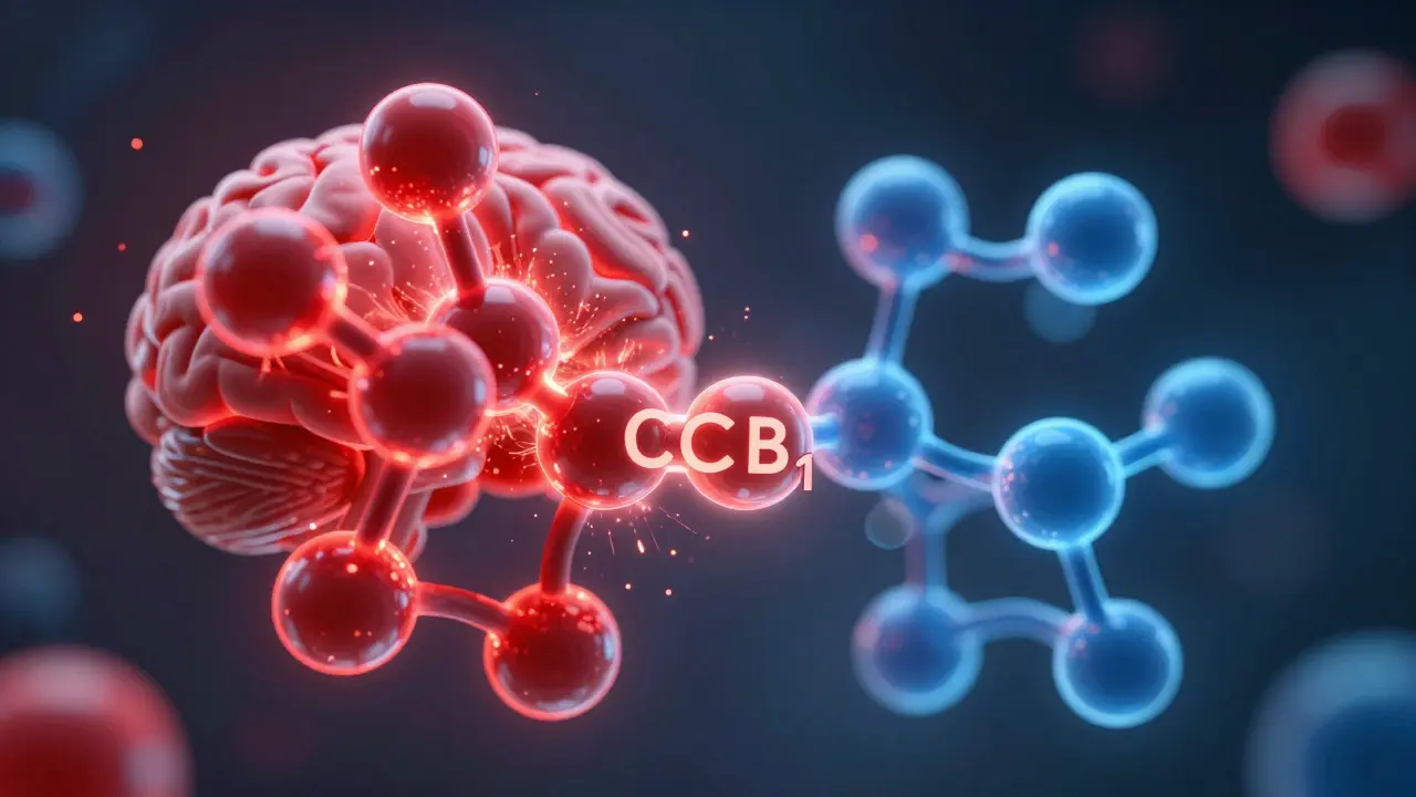 Molekulare Darstellung von THC, CBD und H4CBD an Gehirnrezeptoren