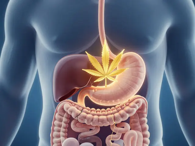 Edibles richtig essen: Dos & Don'ts für Cannabis-Snacks
