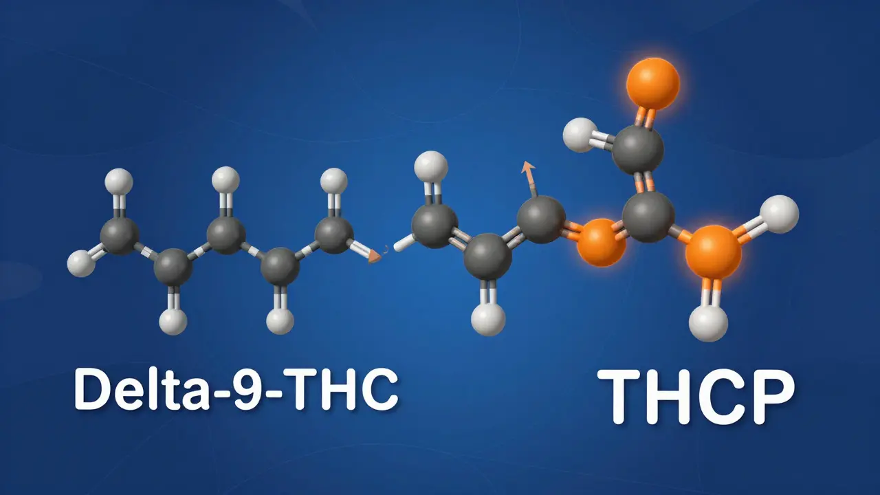 3D-Vergleich der Molekülstrukturen von THC und THCP