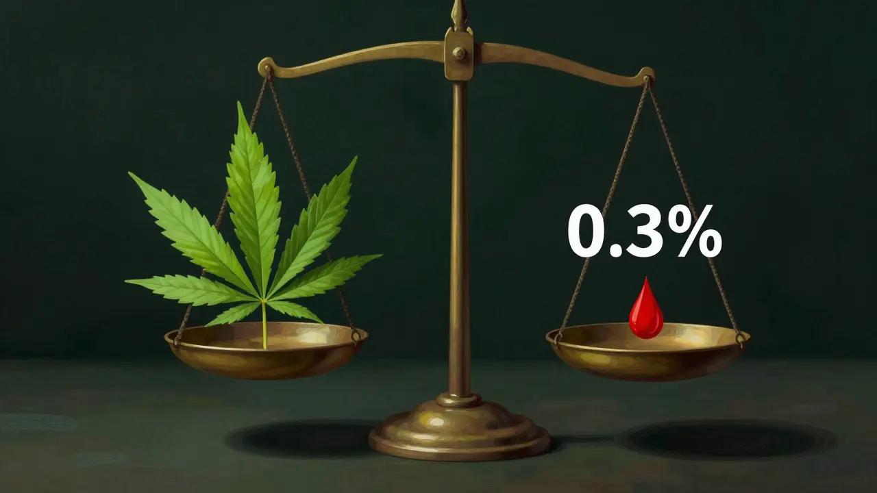 Conceptual art of a hemp leaf balancing on a scale against a dark background