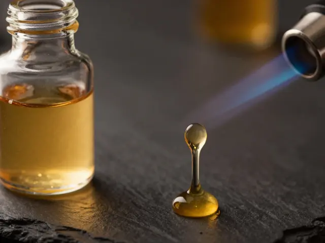 Dabs vs. Edibles: Was ist besser für CBD-Genuss?