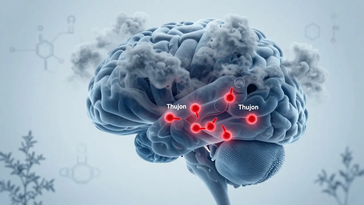 Wissenschaftliche Illustration: Gehirn mit kleinen Thujon-Molekülen neben großen Alkoholwolken